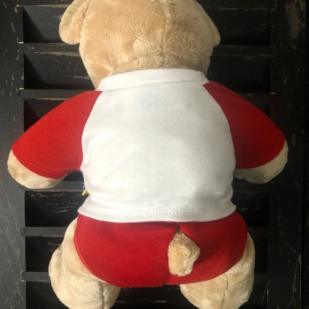 BUILD A BEAR Happy Bearthday Singing Teddy Bear